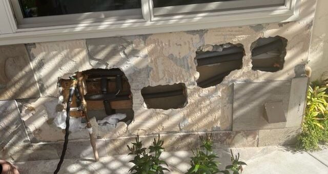 image10-e1740495746309